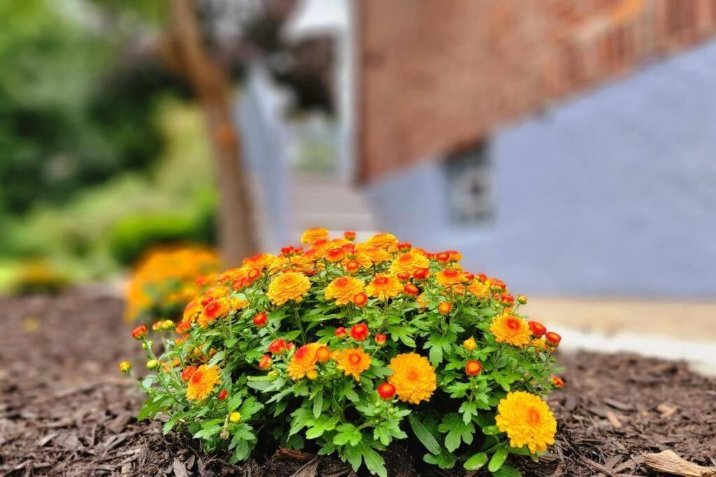 Unique & Peaceful Boston Home エクステリア 写真